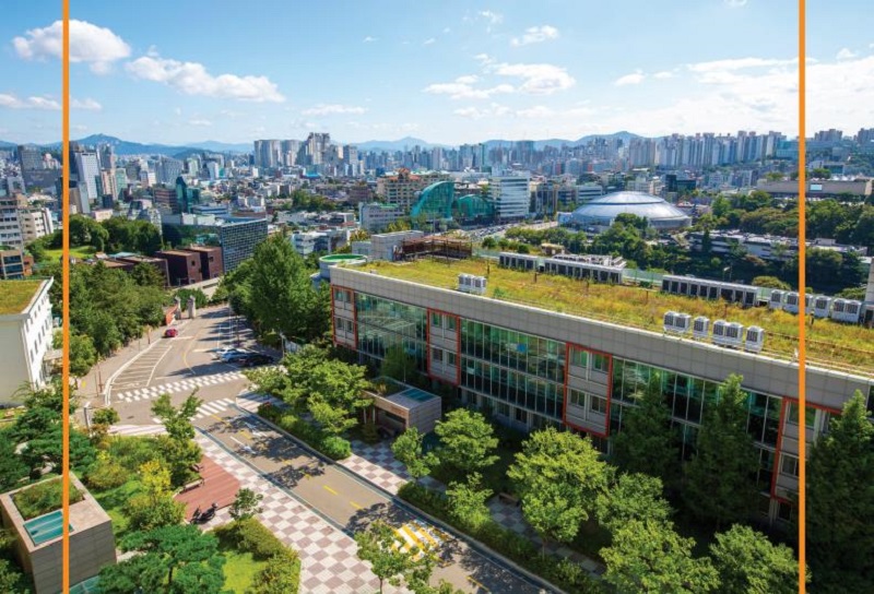 东国大学图六.jpg