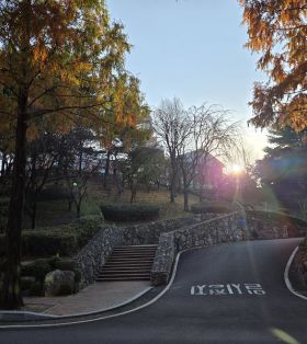 2025年9月韩国本科留学申请，有哪些申请方式？