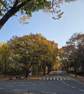 2025韩国启明大学一年制(医用工程学)中韩双语授课专升本申请指南